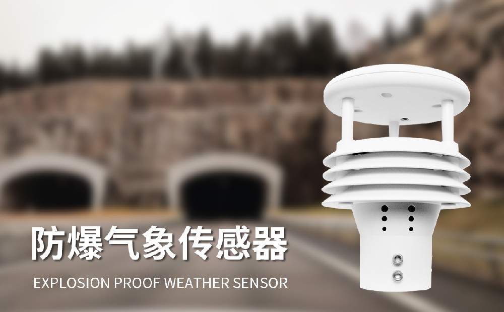 防爆五参数仪